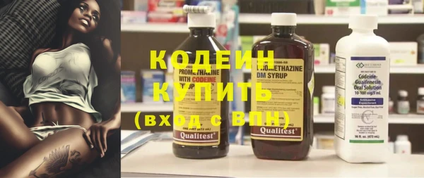 шишки Вяземский