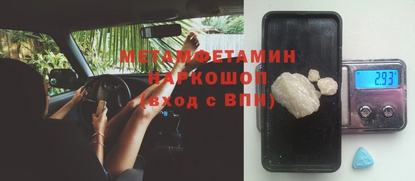 шишки Вяземский