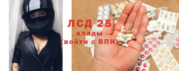 шишки Вяземский