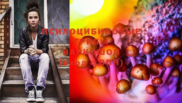 дурь Вязьма