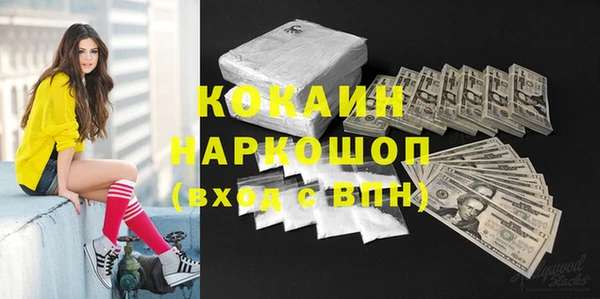 шишки Вяземский