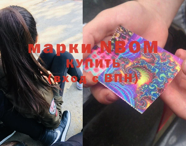 шишки Вяземский