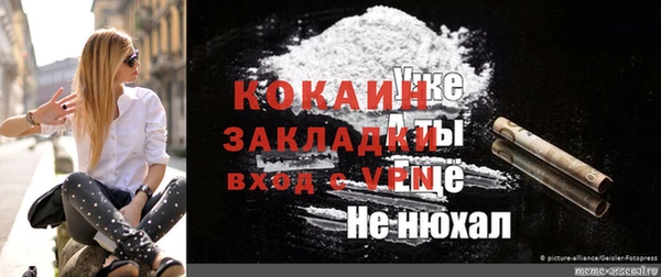 шишки Вяземский