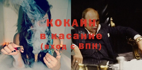 шишки Вяземский