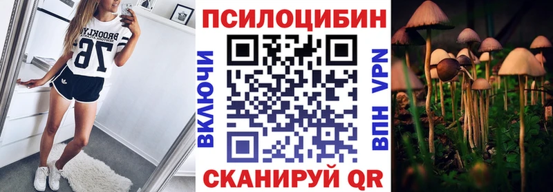 Купить  Коркино  Псилоцибиновые грибы Cubensis 